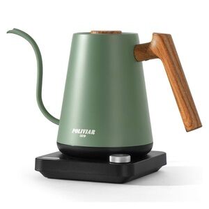 Electric Gooseneck Kettle by Poliviar NWB